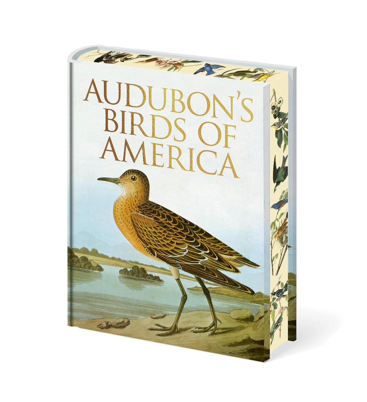 Audubons Birds of America