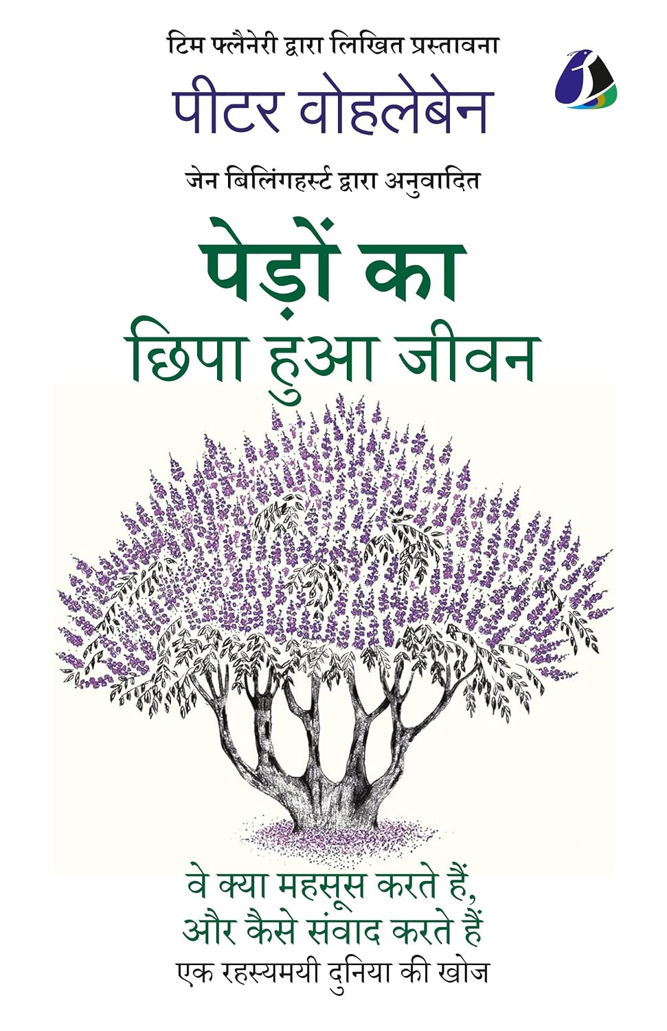 The Hidden Life of Trees