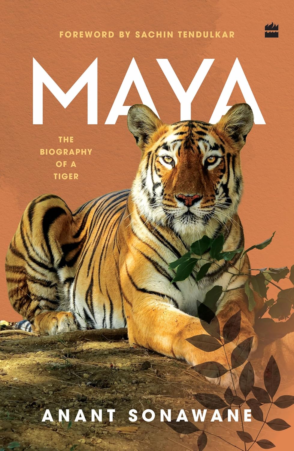 Maya: the Biography of a Tiger