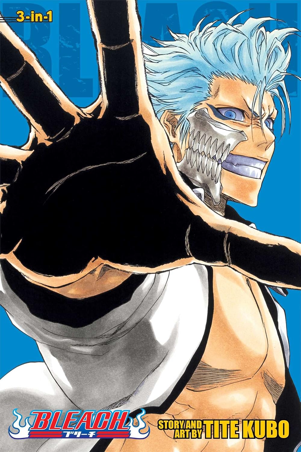 Bleach Vol 22-24
