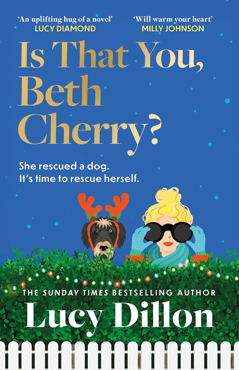 Is That You, Beth Cherry?: The Warm and Witty New Novel from the Author of Irresponsible Adult
