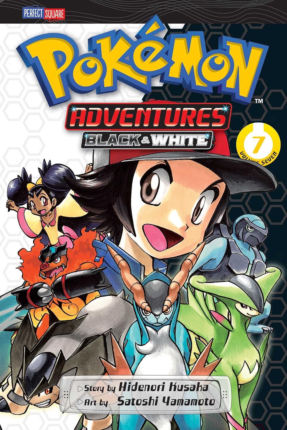 Pokemon Adventures Black & White, Vol 7