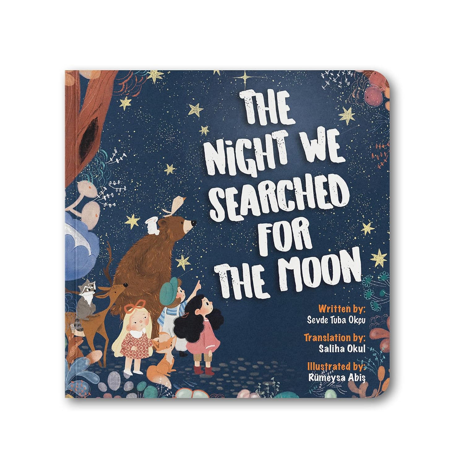 The Night We Searched for the Moon
