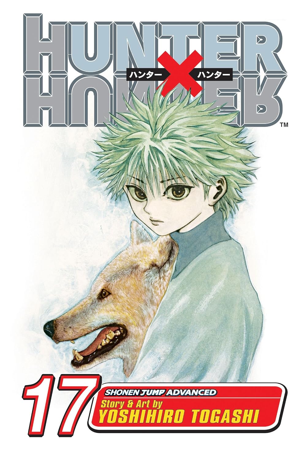 Hunter X Hunter Vol 17