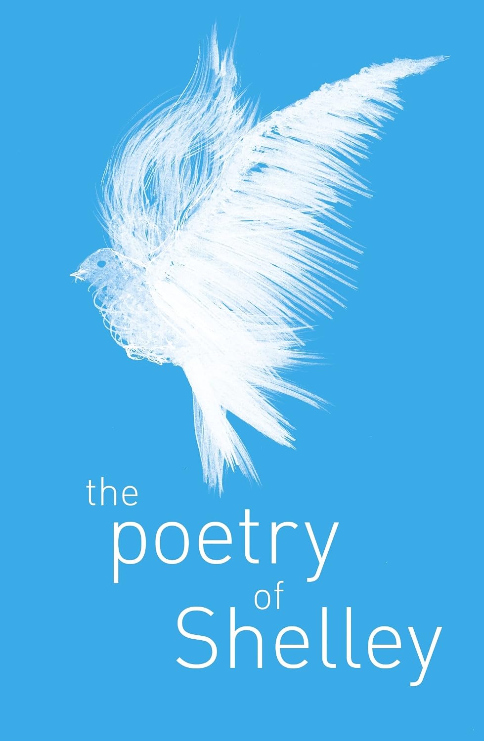 Poetry of Shelley
