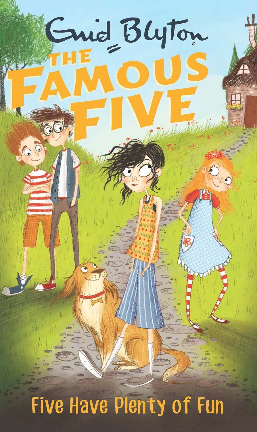 Famous Five: 14: Five Have Plenty of Fun