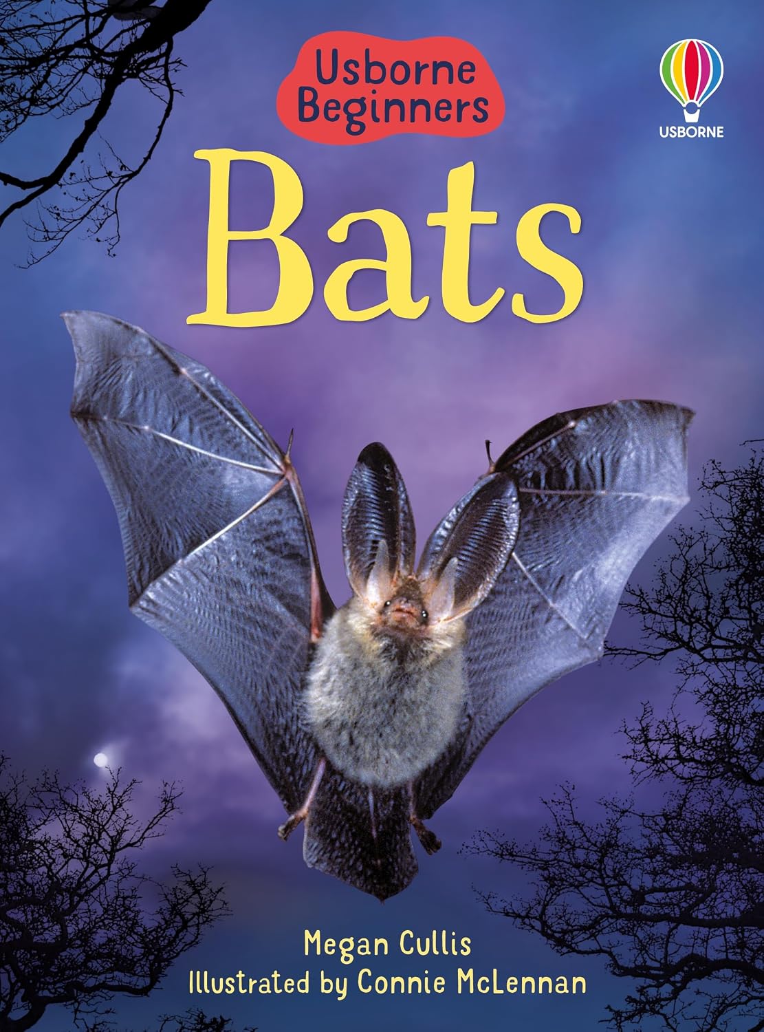 Bats (usborne Beginners)