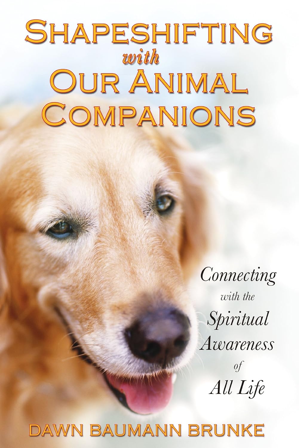 Shapeshifting with our animal companions: connecting with the spiritual awareness of all life