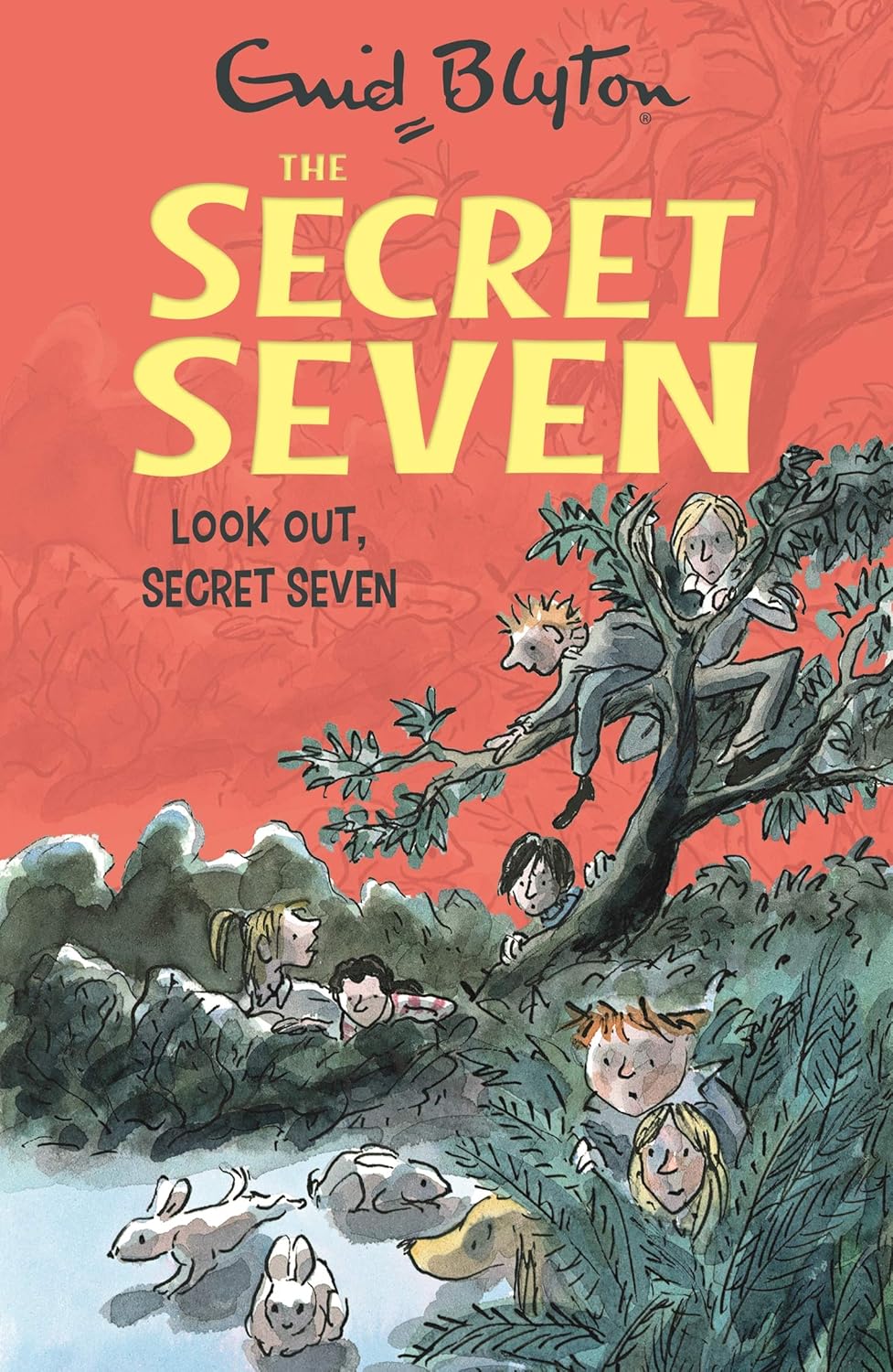 Secret Seven: 14: Look Out, Secret Seven