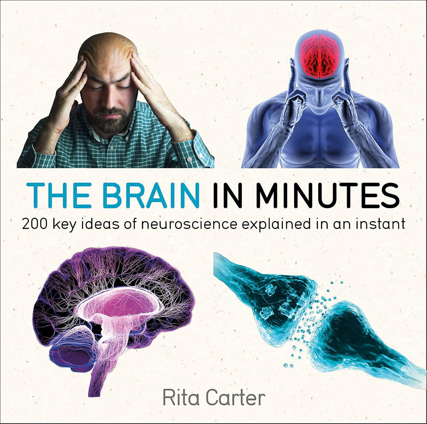 The Brain in Minutes (in Minutes Series)