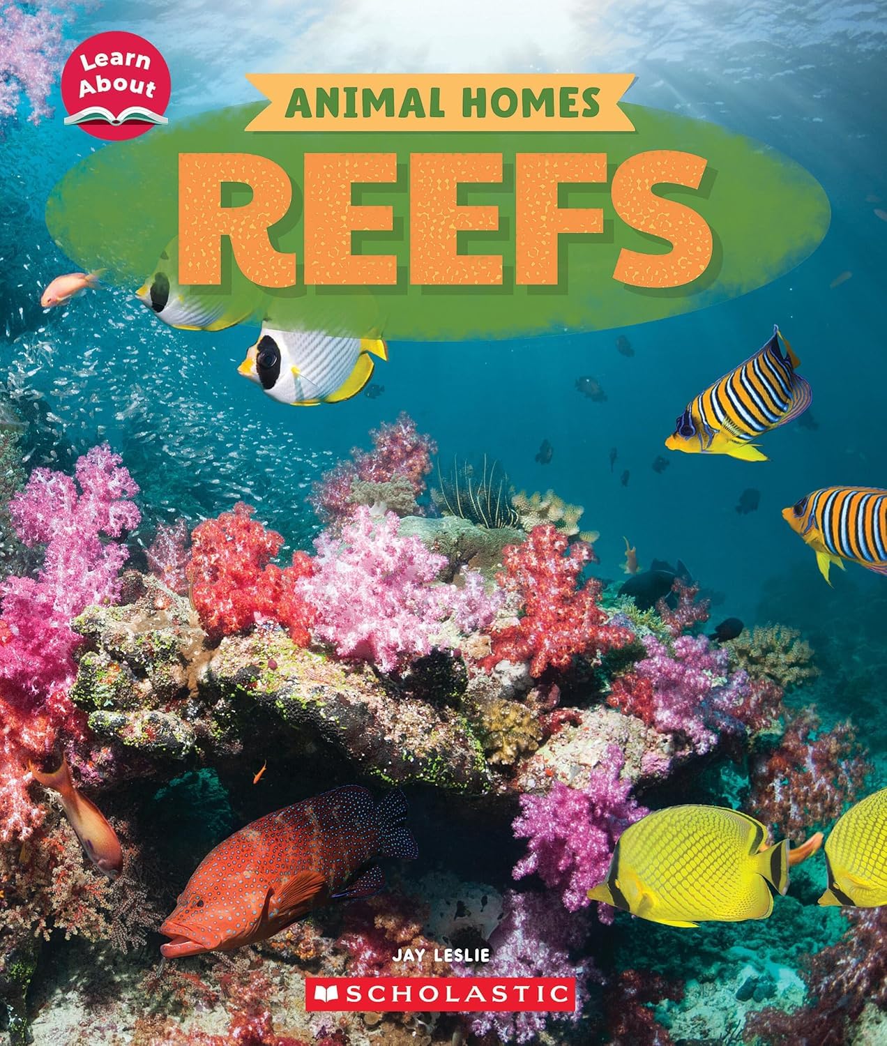 Learn About: Animal Homes: Reefs