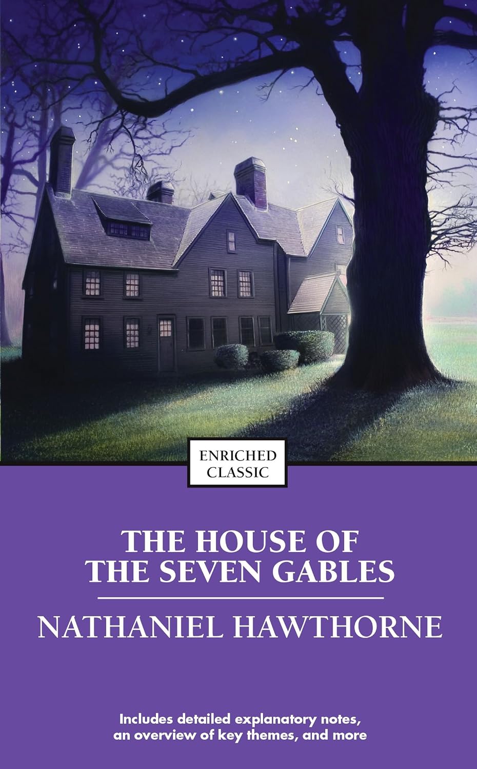 The house of the seven gables