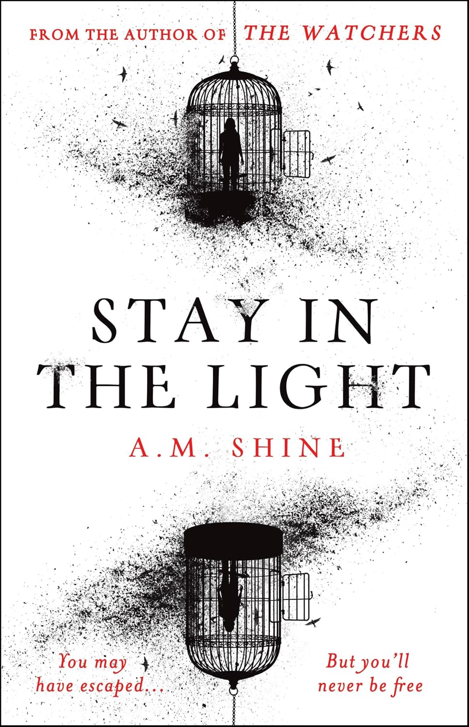 Stay in the Light: The Chilling Sequel to the Watchers, Soon to Be a Major Motion Picture