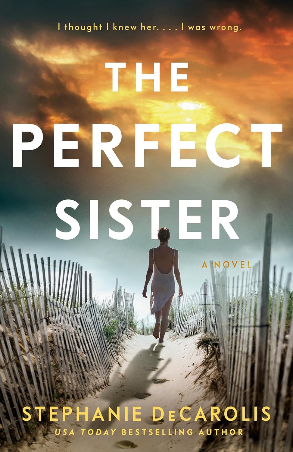 Perfect Sister: A Novel