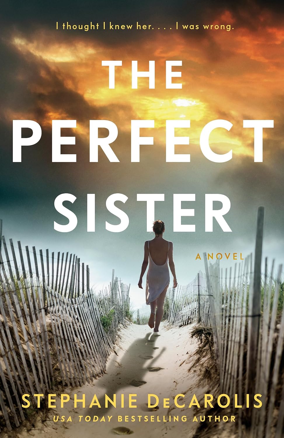 Perfect Sister: A Novel