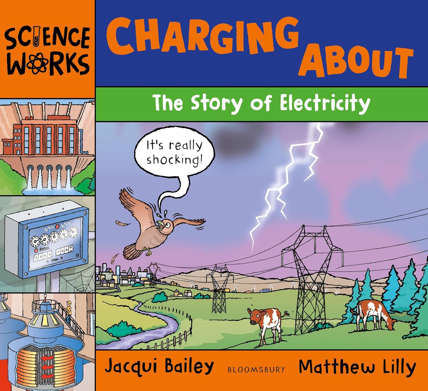 Charging About: the Story of Electricity (science Works)