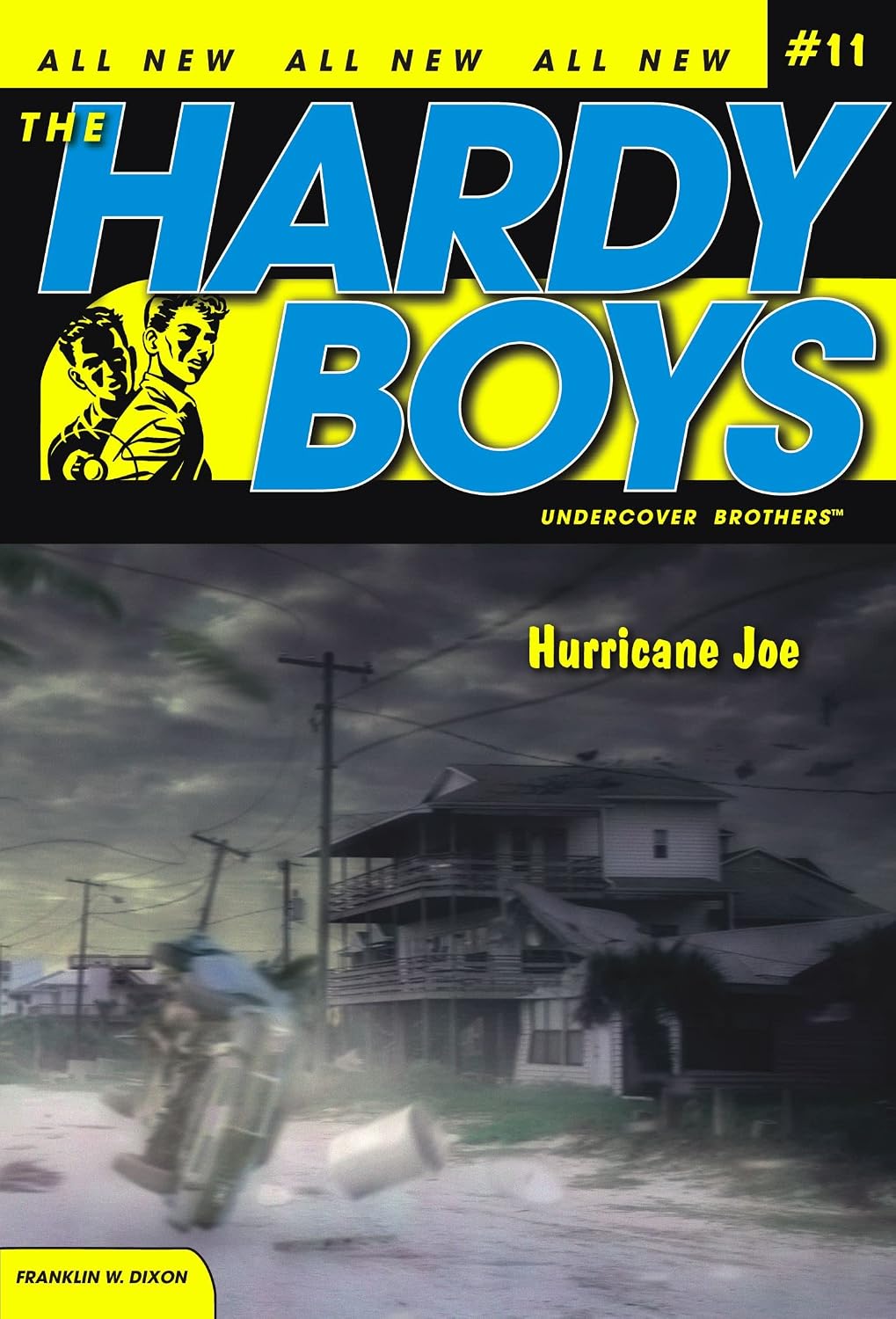 Hurricane Joe (Hardy Boys, Undercover Brothers)