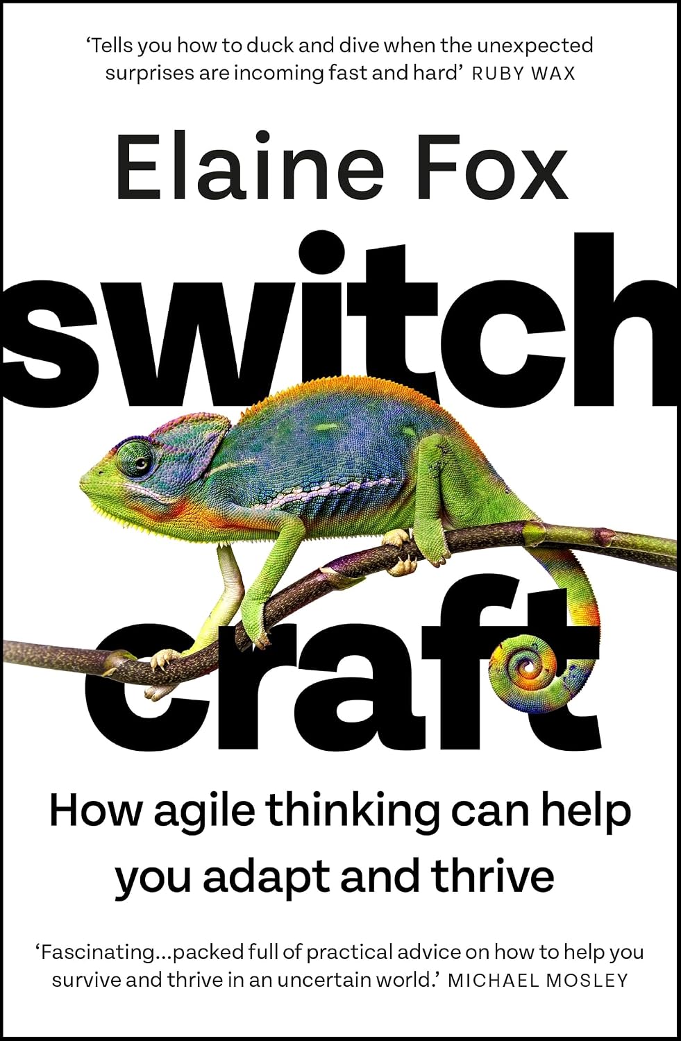 Switchcraft: Harnessing the Power of Mental Agility to Transform Your Life