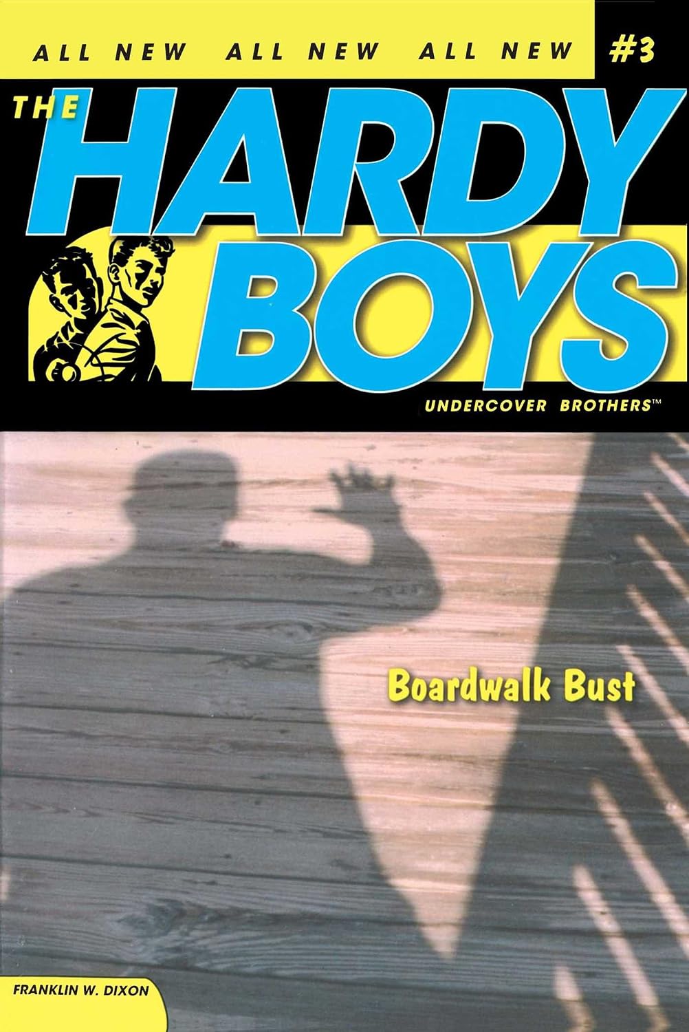 Boardwalk Bust (Hardy Boys, Undercover Brothers)