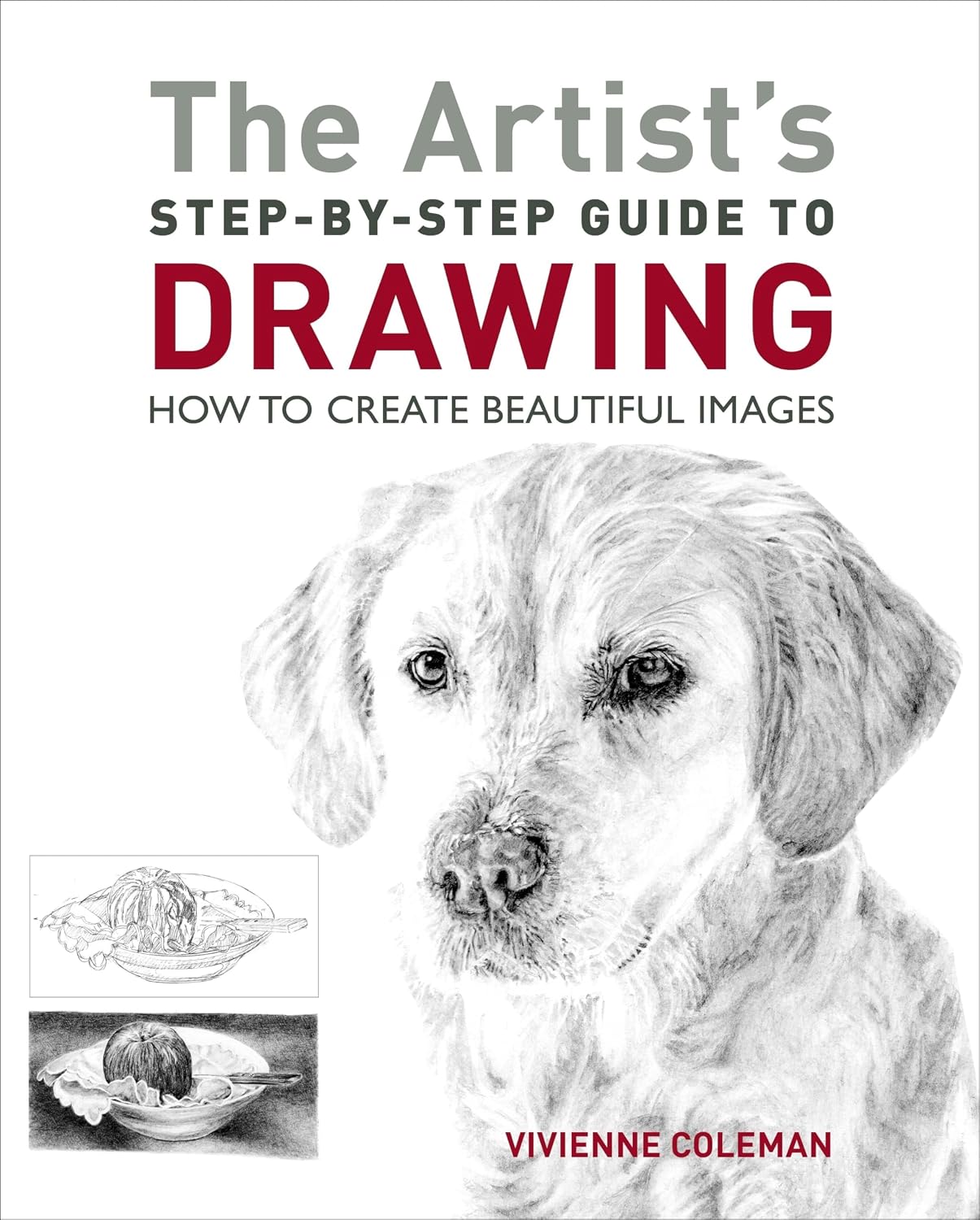 The Artist's Step-by-step Guide to Drawing: How to Create Beautiful Images