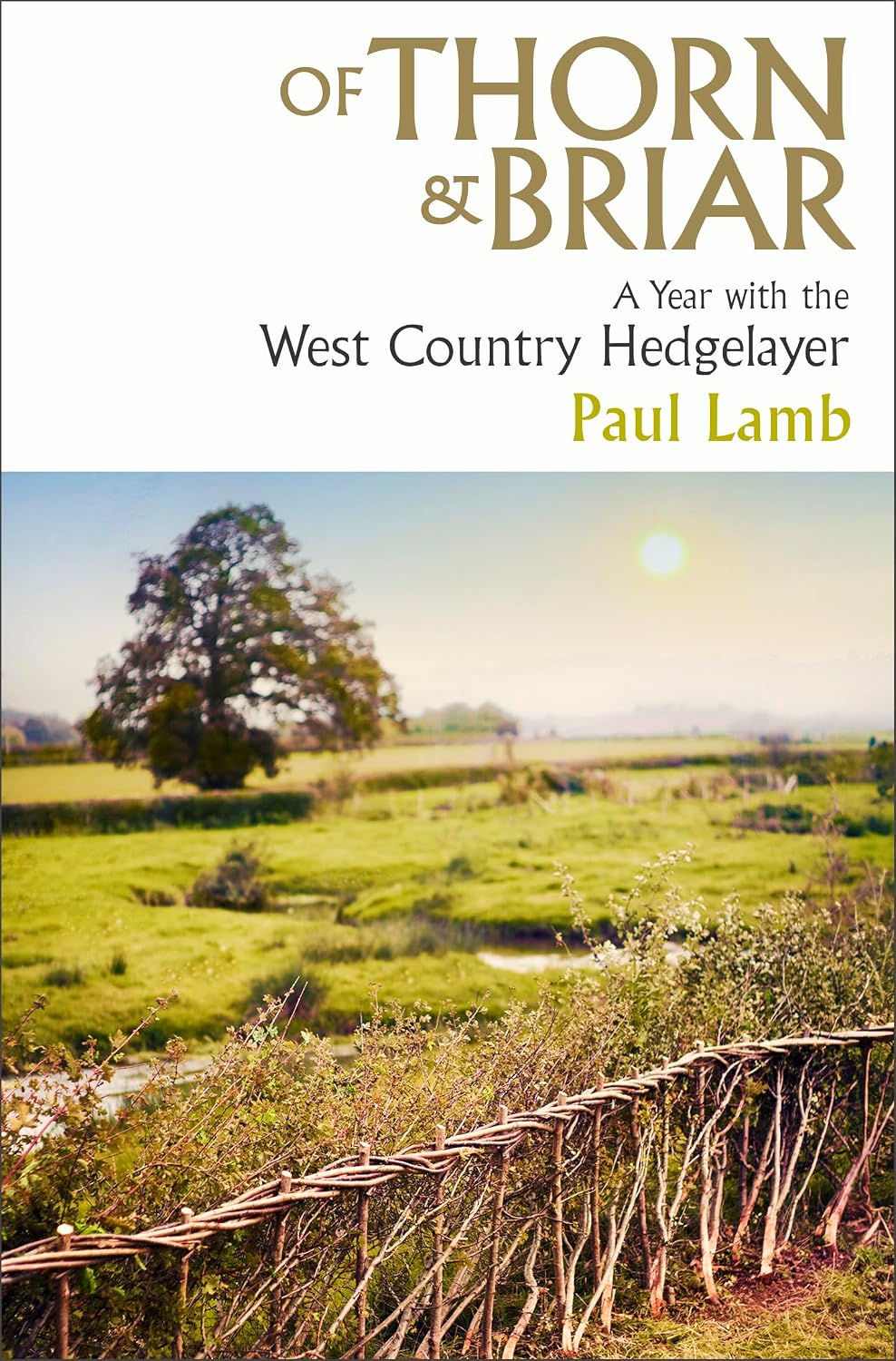 Of Thorn & Briar: a Year With the West Country Hedgelayer