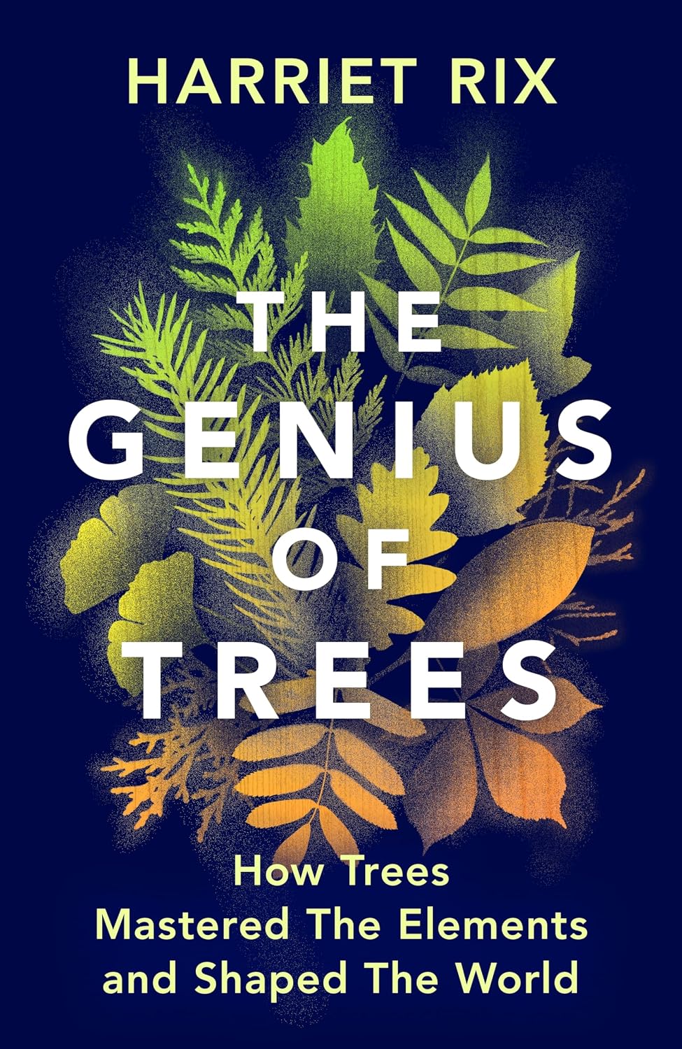 Earth, Wind and Fire: How Trees Mastered the Elements and Conquered the World
