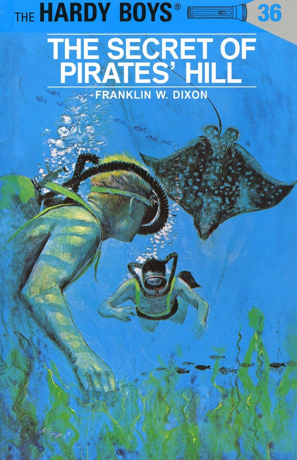 Hardy Boys #36: The Secret of Pirates' Hill