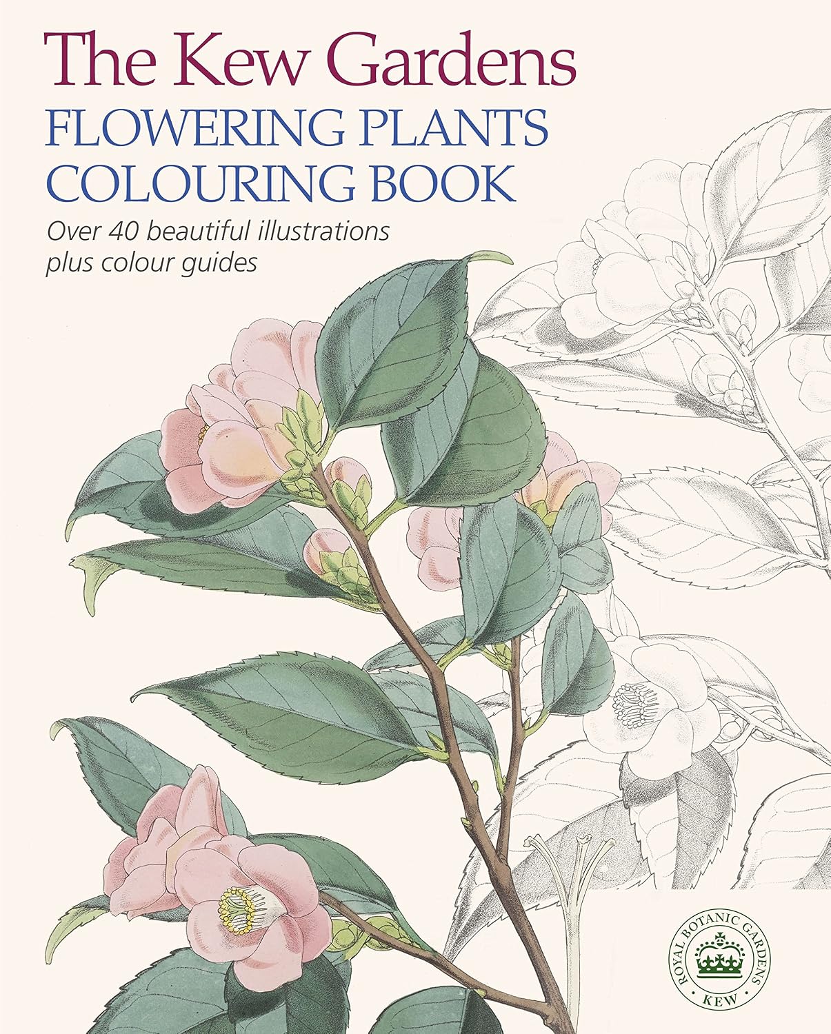 The Kew Gardens flowering plants colouring book: over 40 beautiful illustrations plus colour guides
