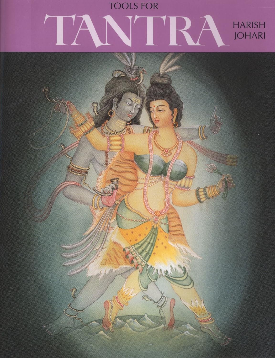 Tools for Tantra: a Novel
