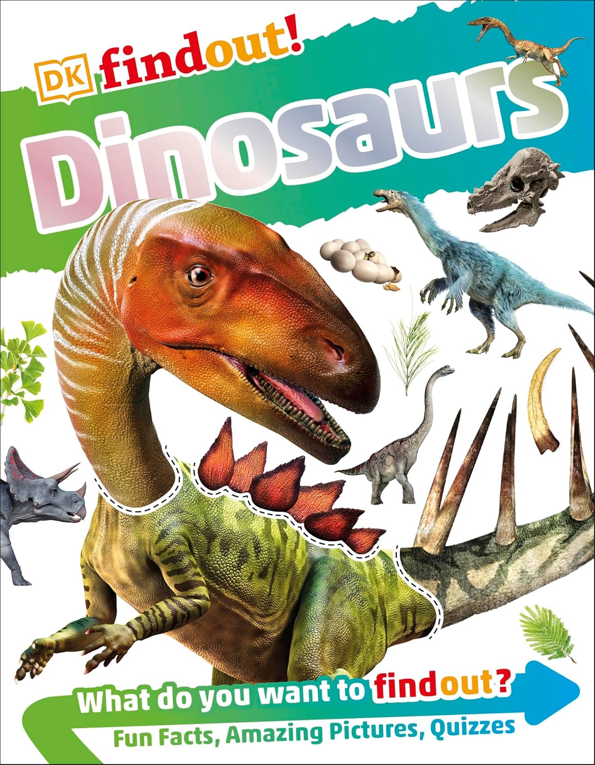 Dinosaurs: What Do You Want to Findout?