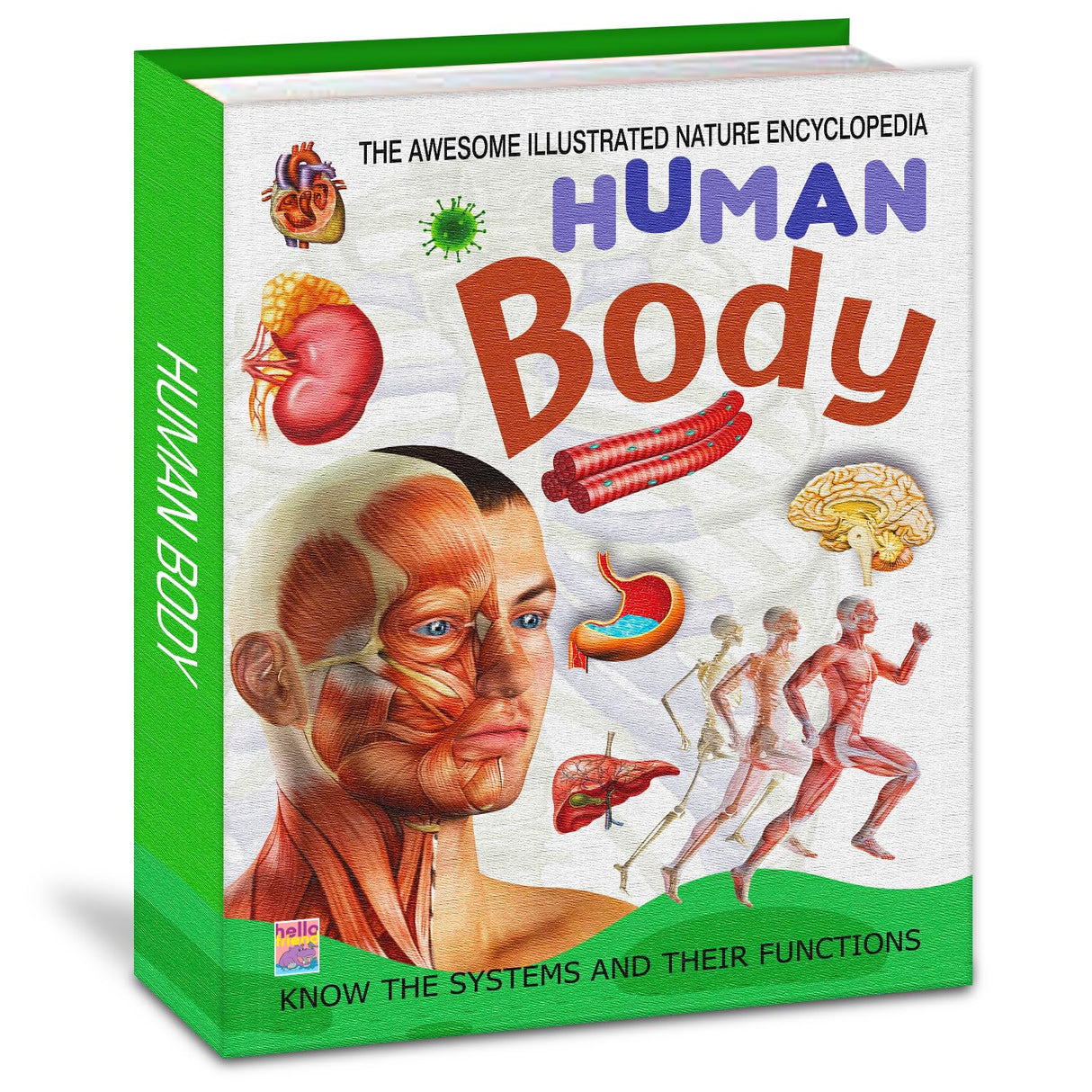 Human Body Encyclopedia for Kids