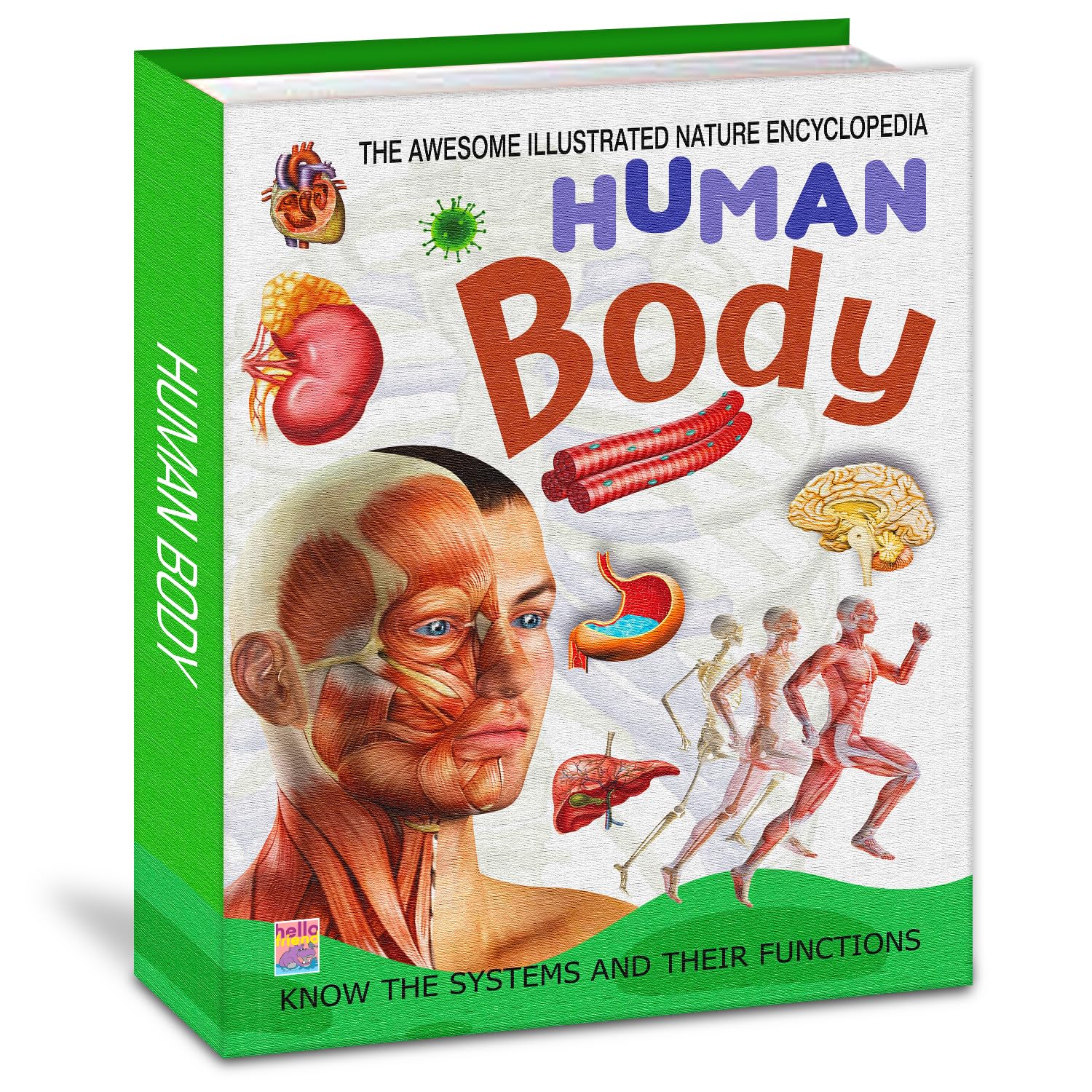 Human Body Encyclopedia for Kids
