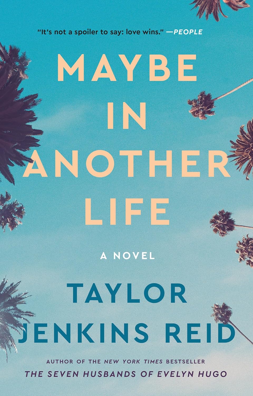 Maybe in another life: a novel