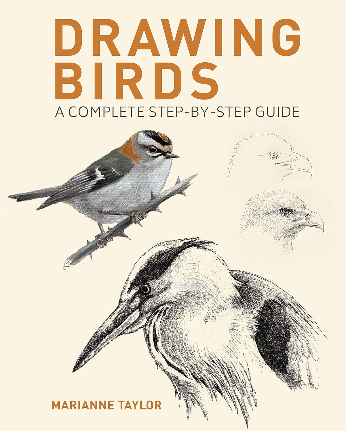 Drawing Birds: A Complete Step-by-step Guide
