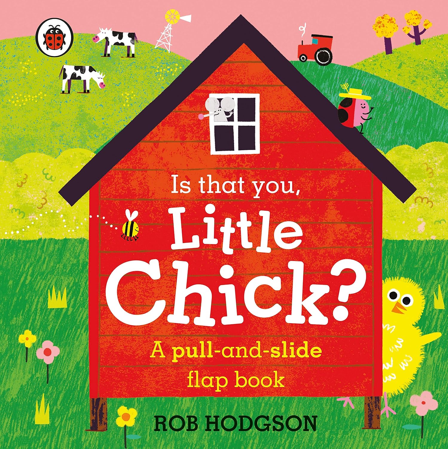 Is That You, Little Chick?: a Pull-and-slide Flap Book