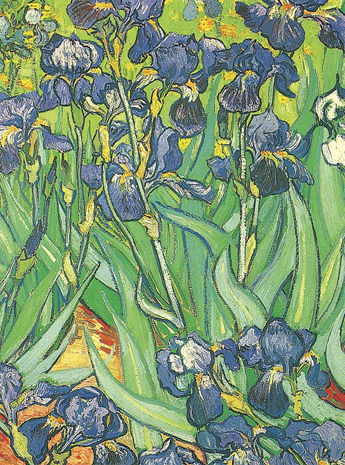 Van Gogh Notebook (decorative Notebooks)