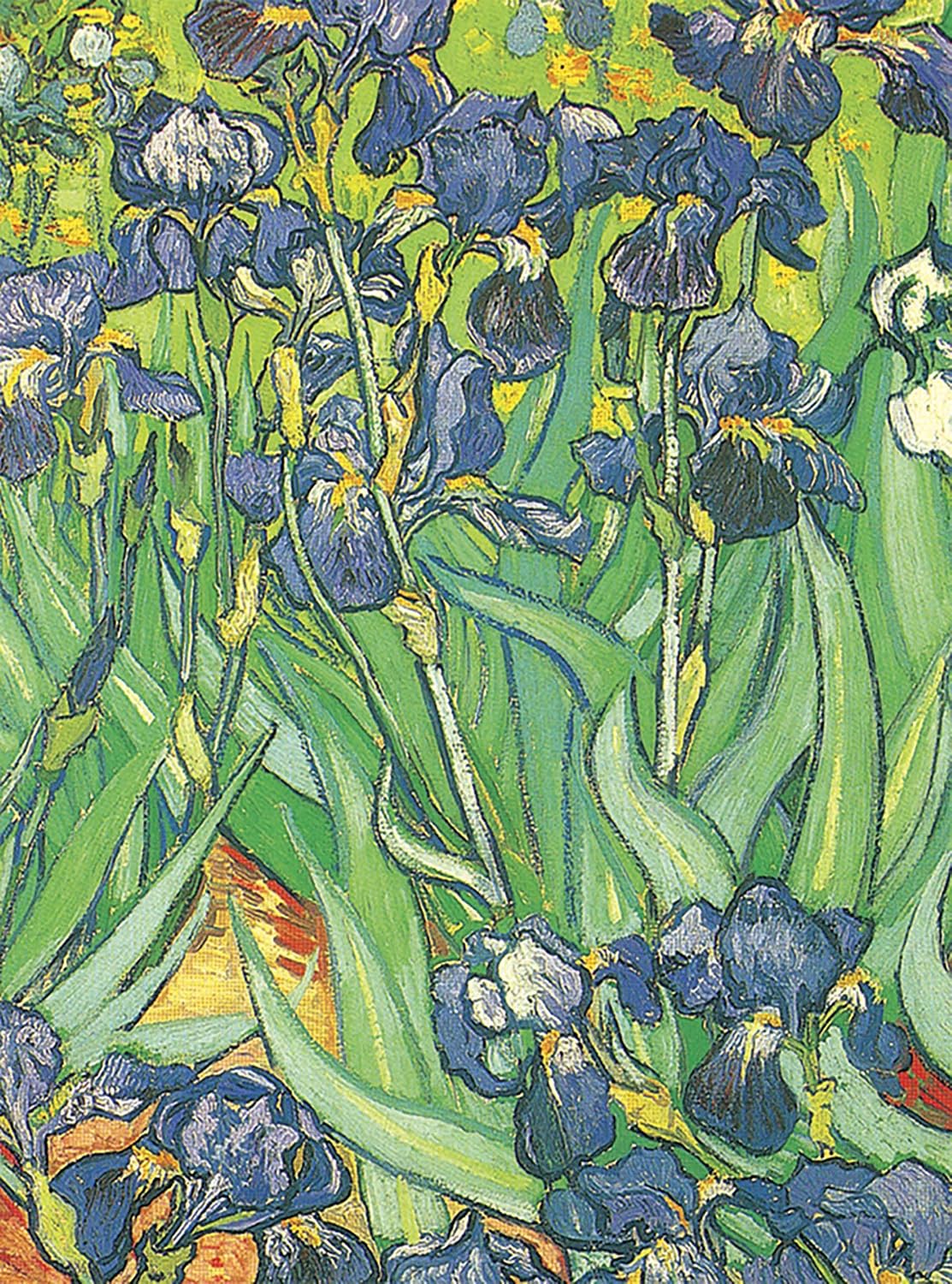 Van Gogh Notebook (Decorative Notebooks)