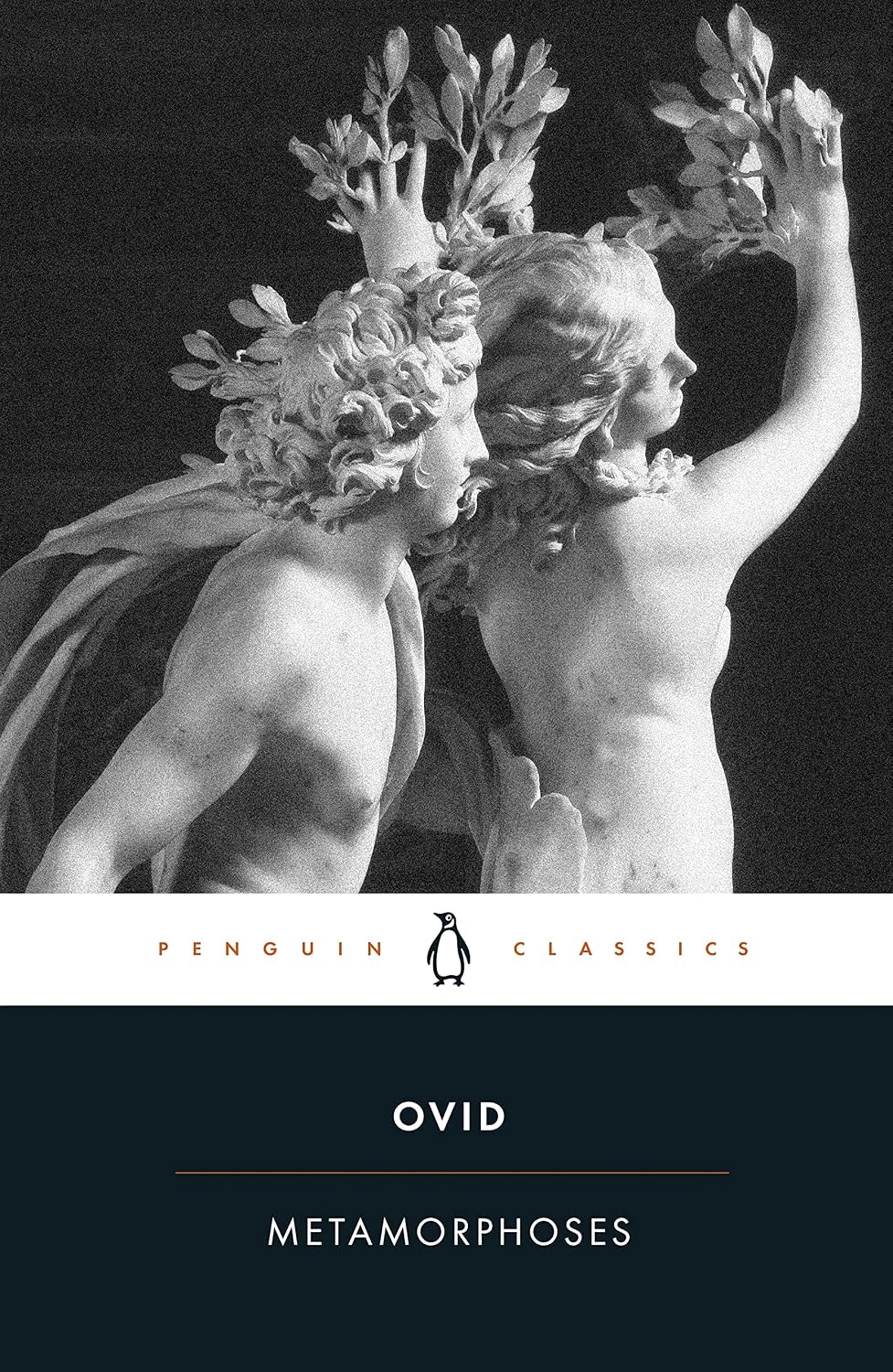 METAMORPHOSES: A NEW VERSE TRANSLATION; TRANS. BY DAVID RAEBURN