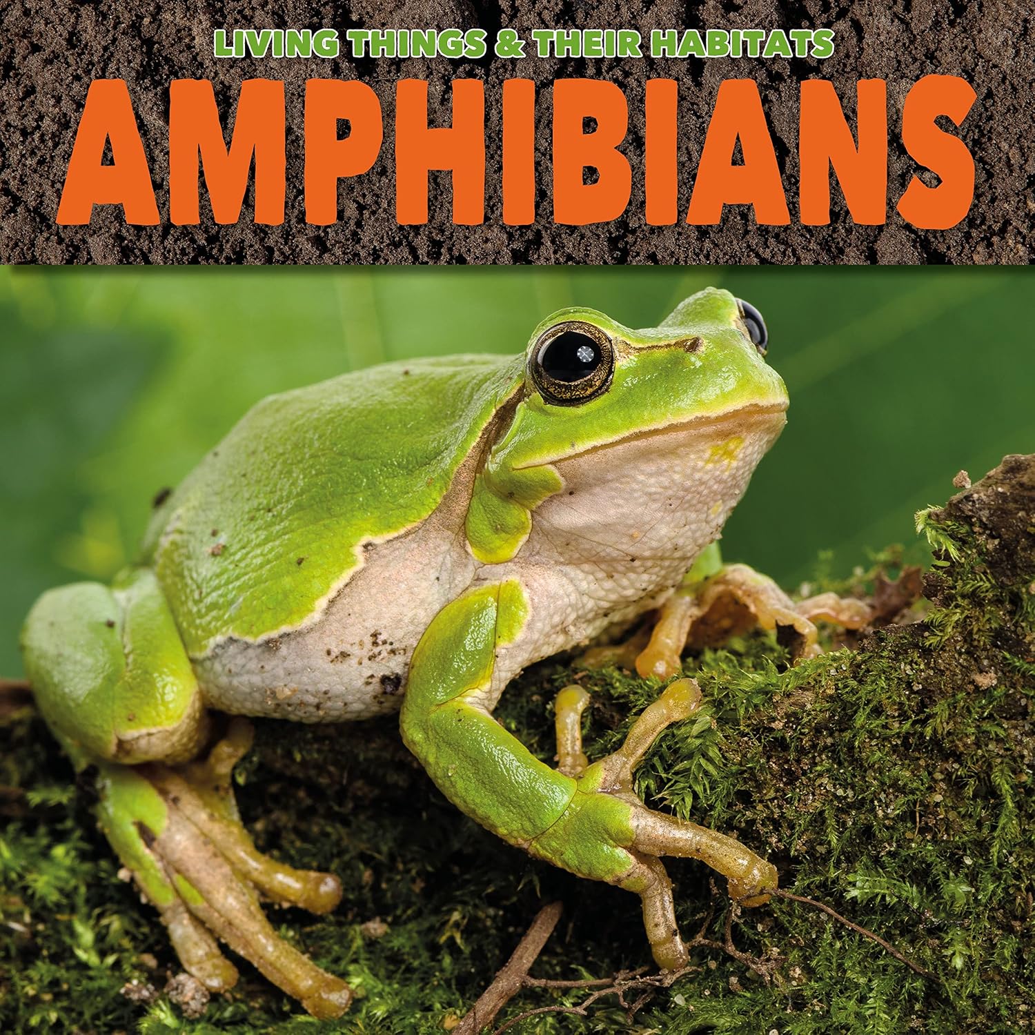 Amphibians (living Things and Their Habitats)