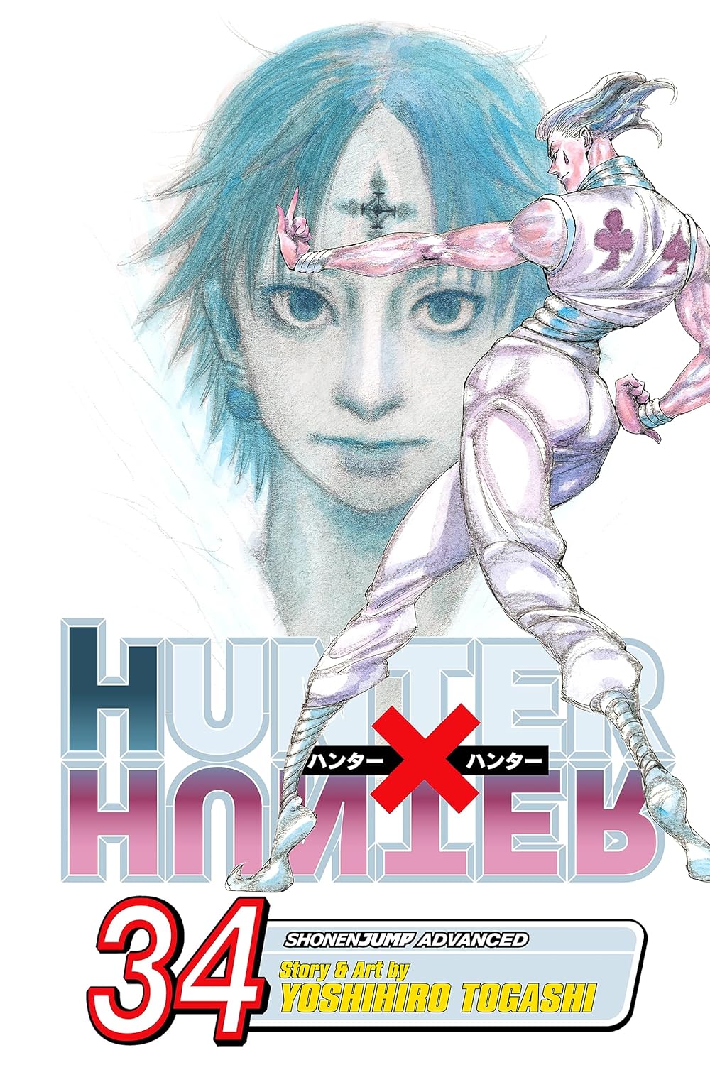Hunter x Hunter, Vol. 34