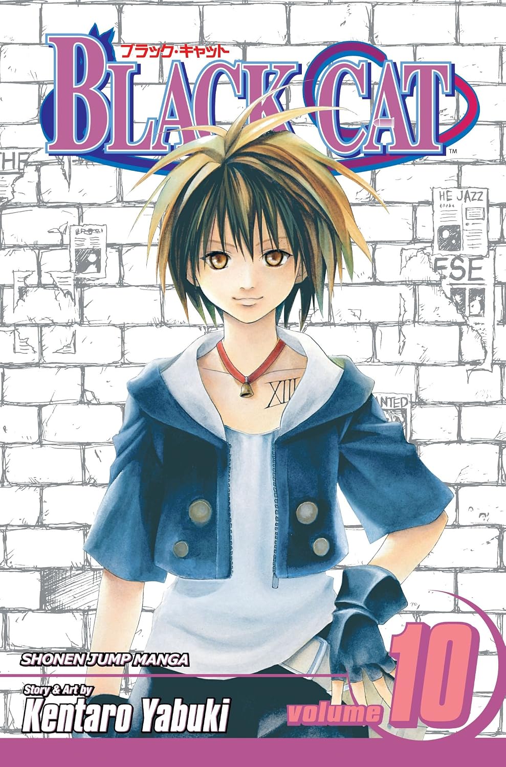 Black Cat Vol.10