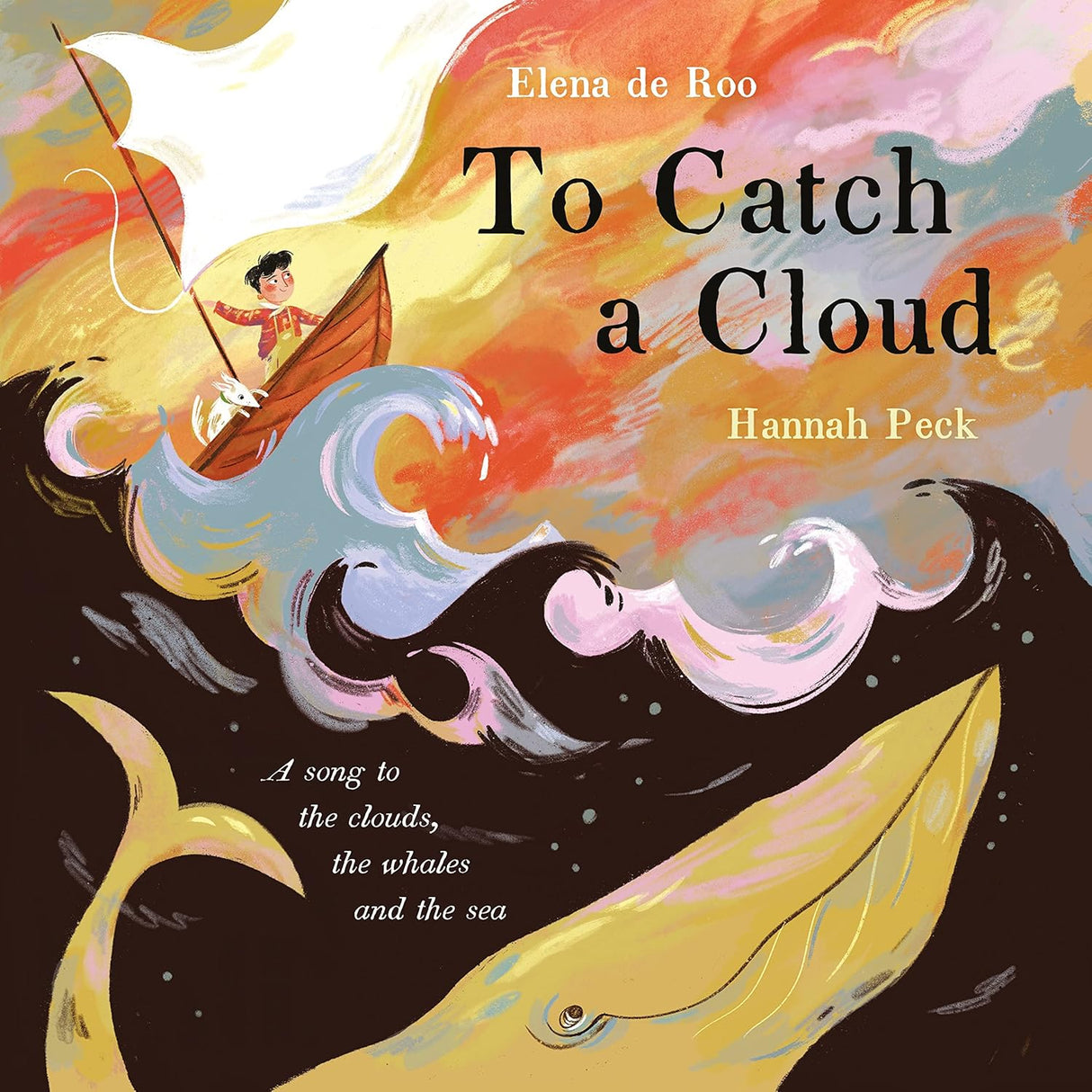 Catch a Cloud