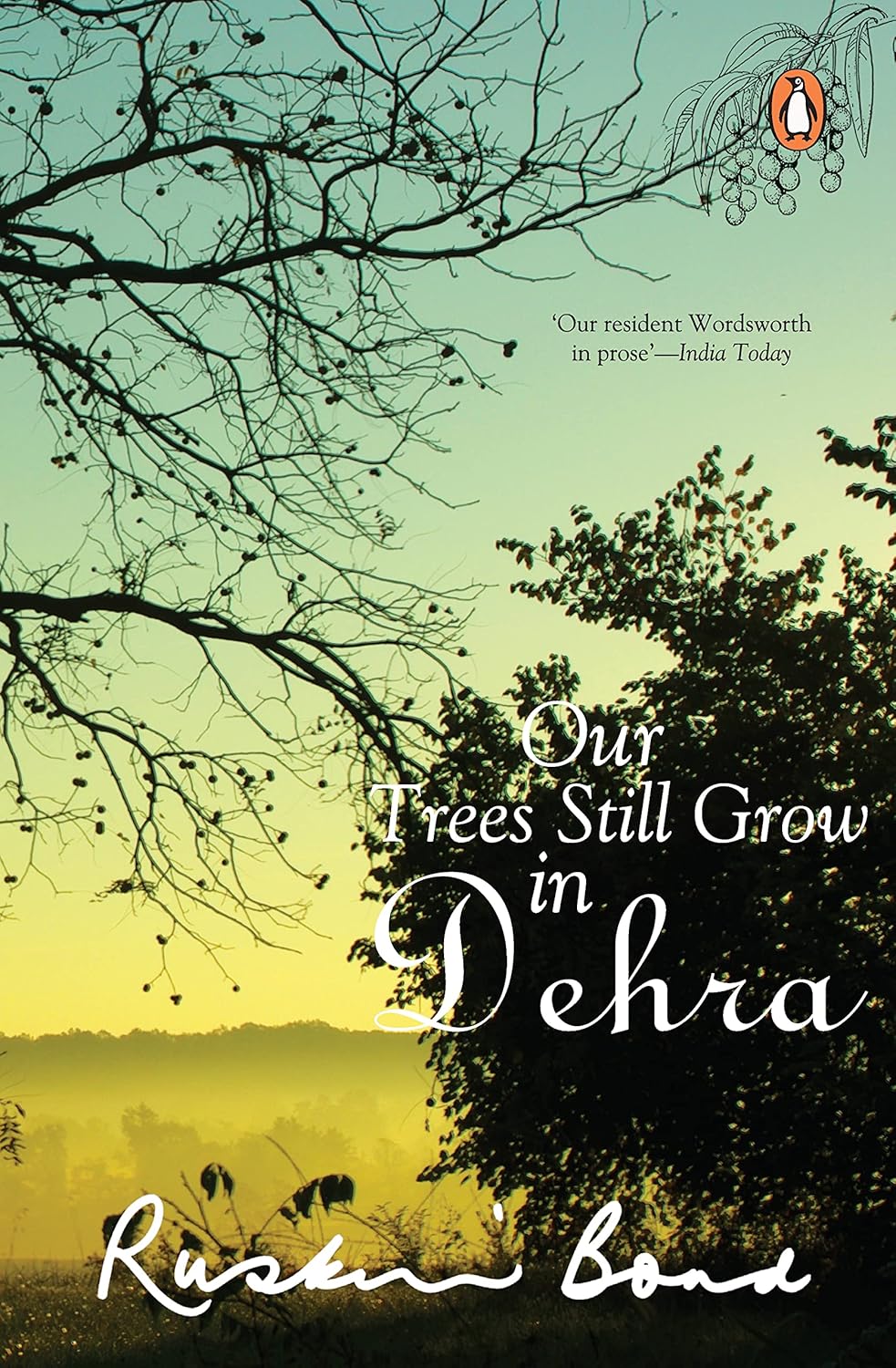 Our trees still grow in Dehra