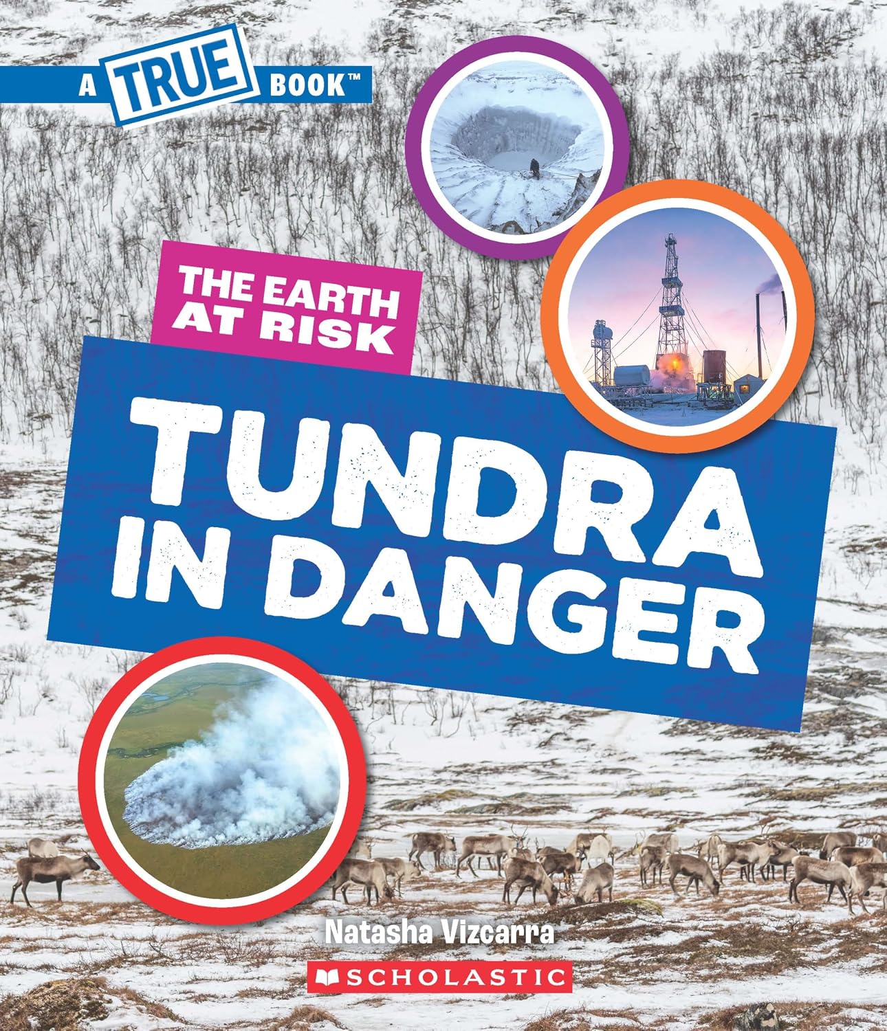 A True Book: Tundra in Danger