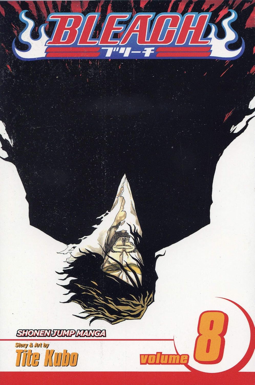 Bleach Vol 8