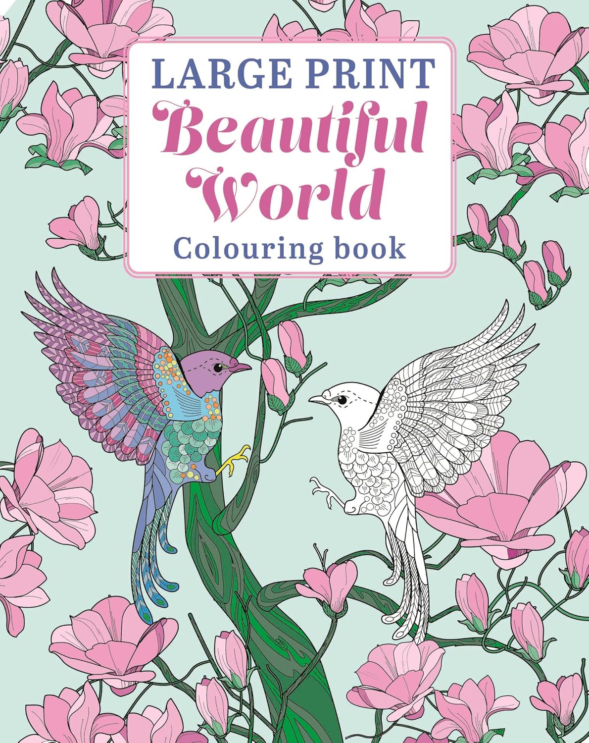 Large Print Beautiful World Colouring Book