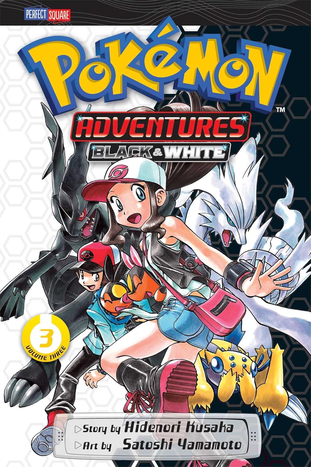 Pokemon Adventures: Black & White, Vol 3