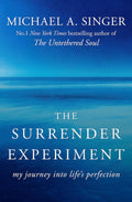 Surrender Experiment: My Journey into Life's Perfection