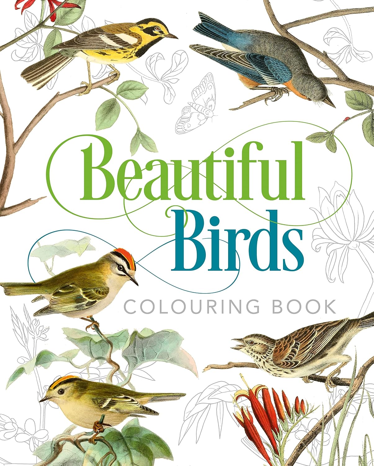 Beautiful Birds Colouring Book