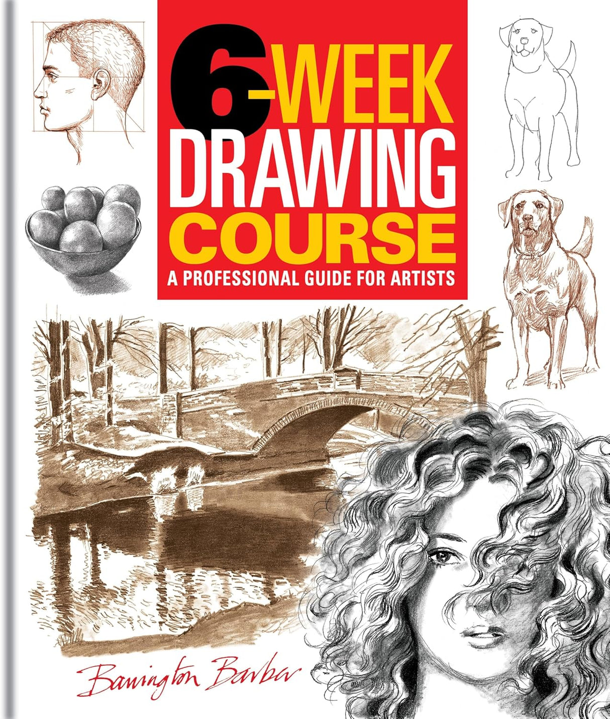 6-week Drawing Course